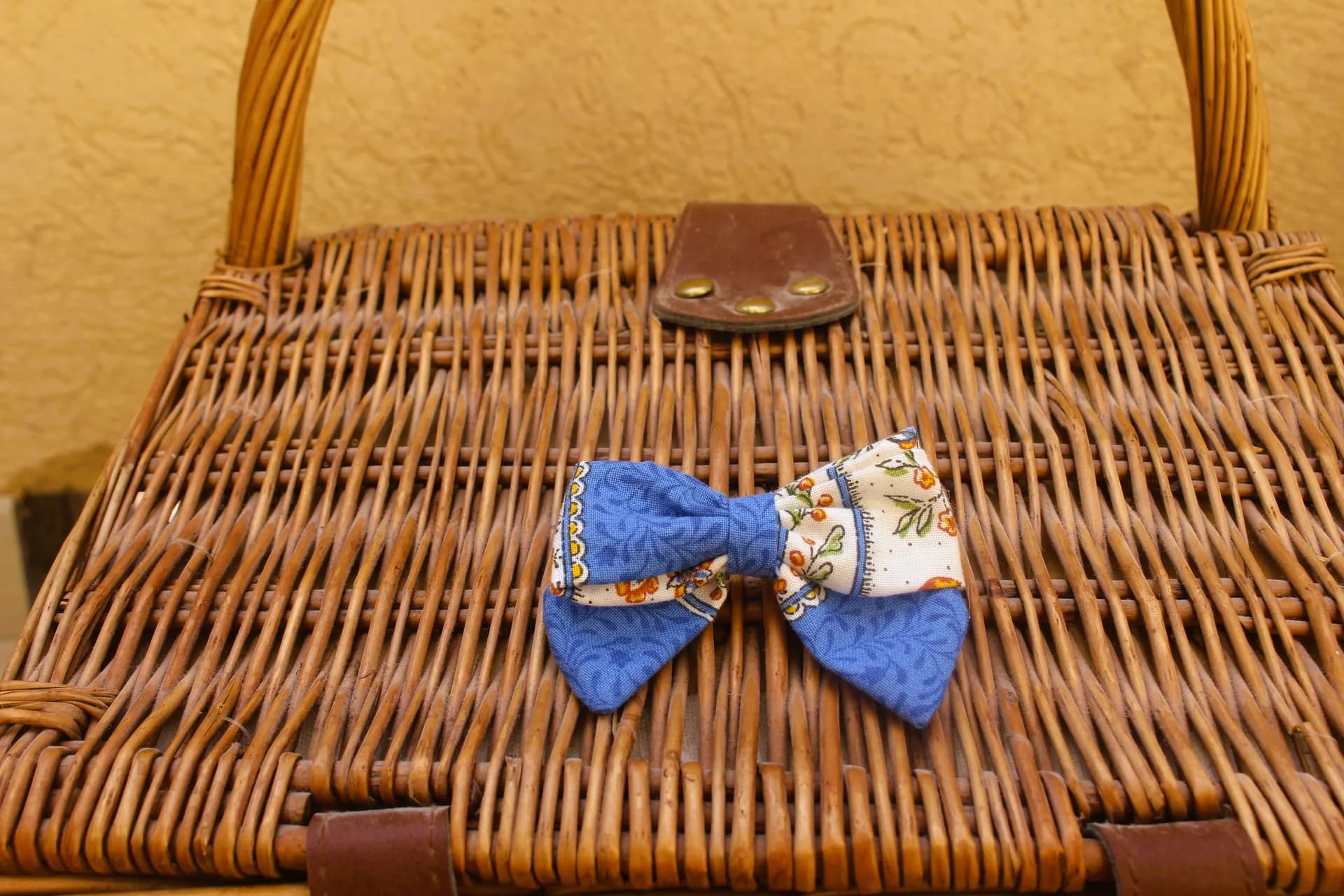 Petite barrette, Augustine